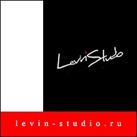   Levin Studio